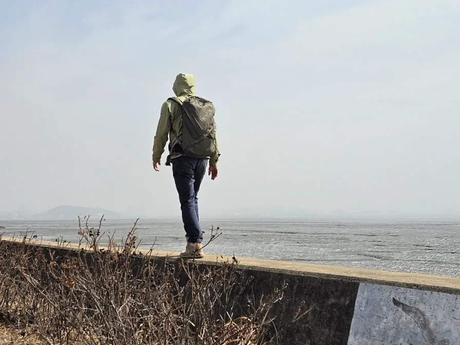 라울