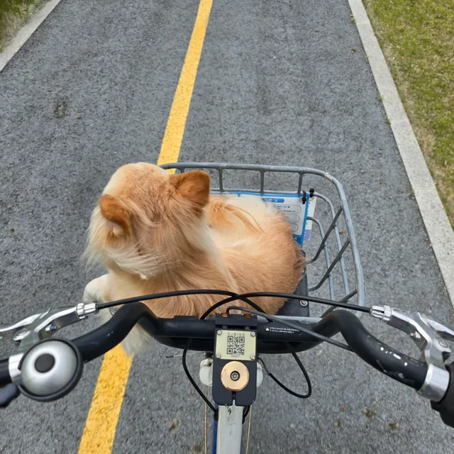 고유하