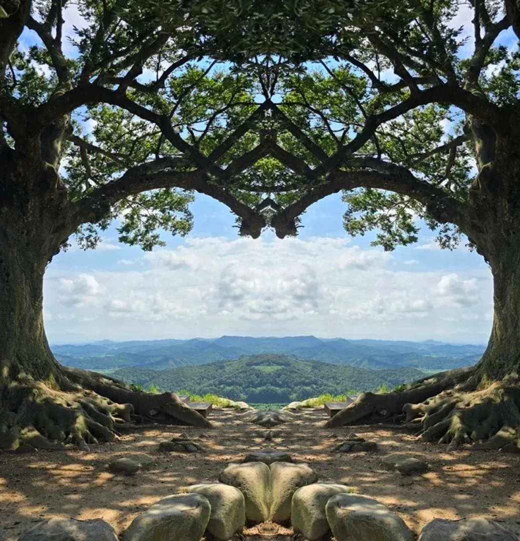 그라제