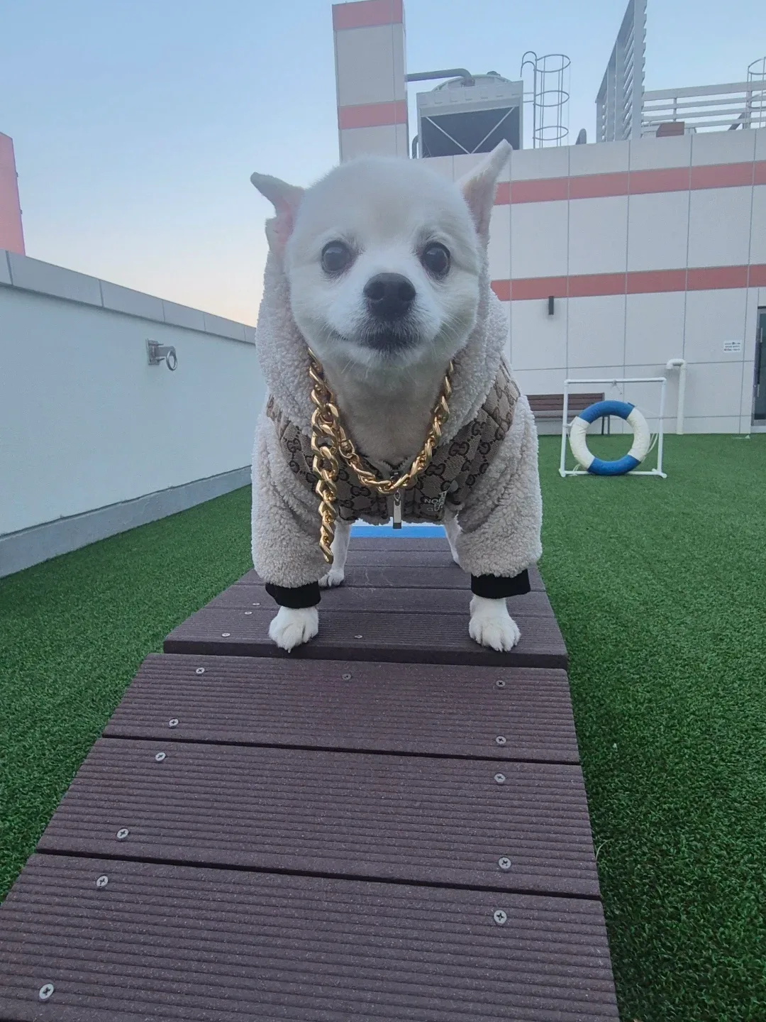 야랑