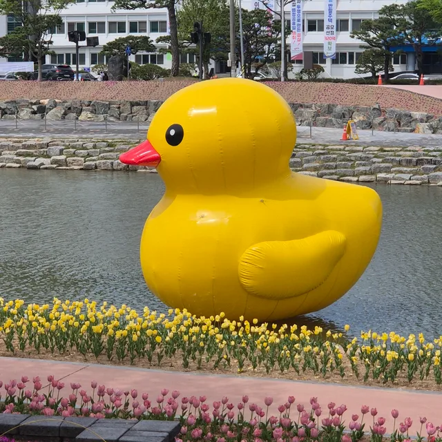 순창아씨
