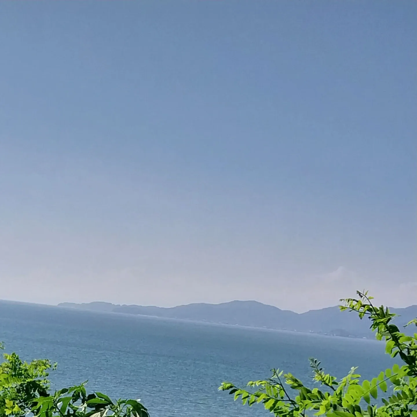 블루이