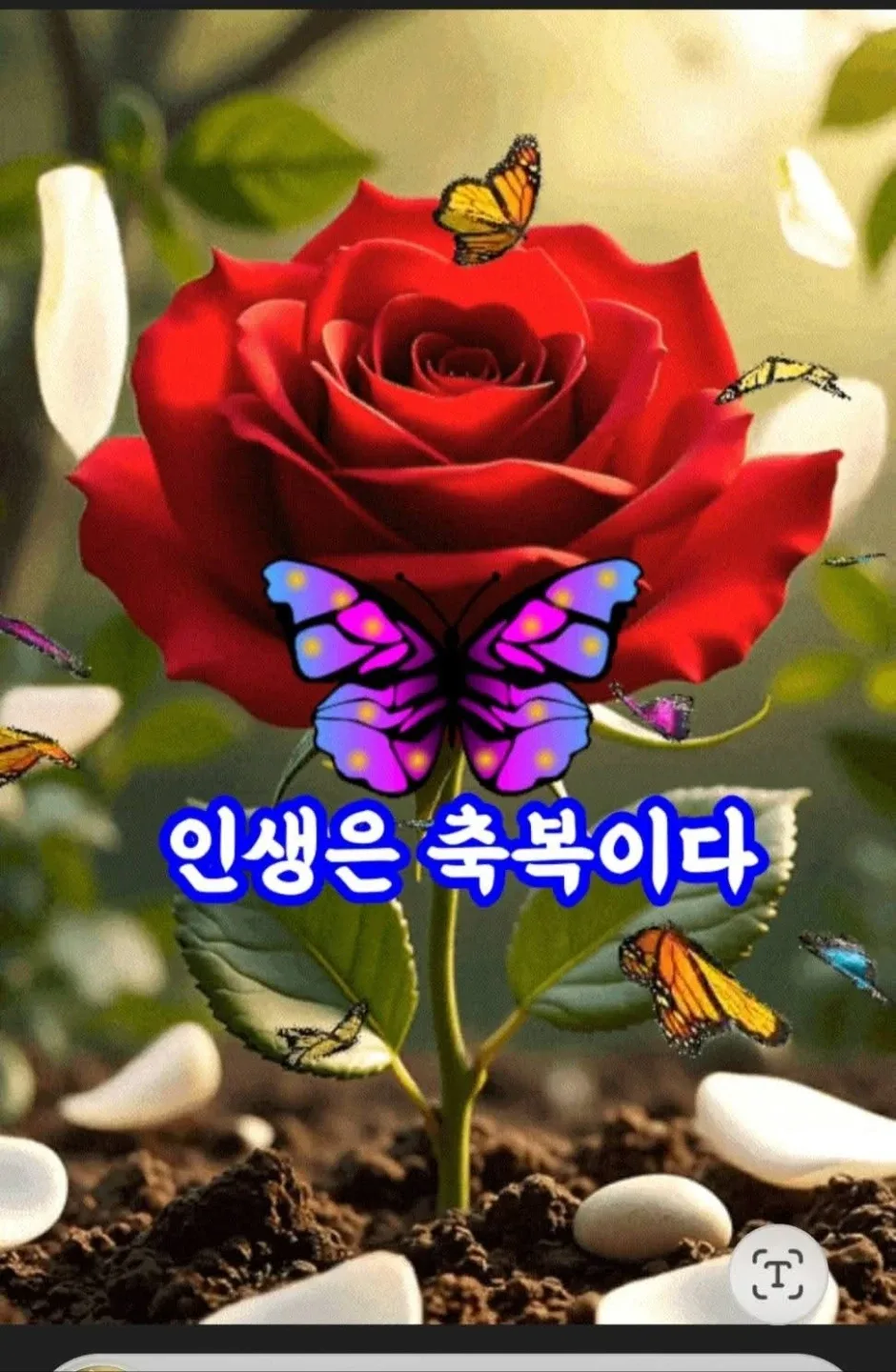 뛰는심장