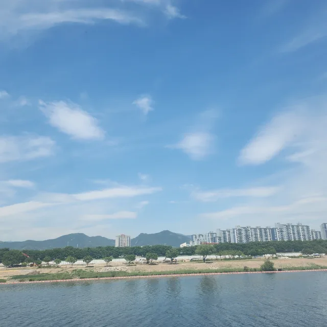 봄비