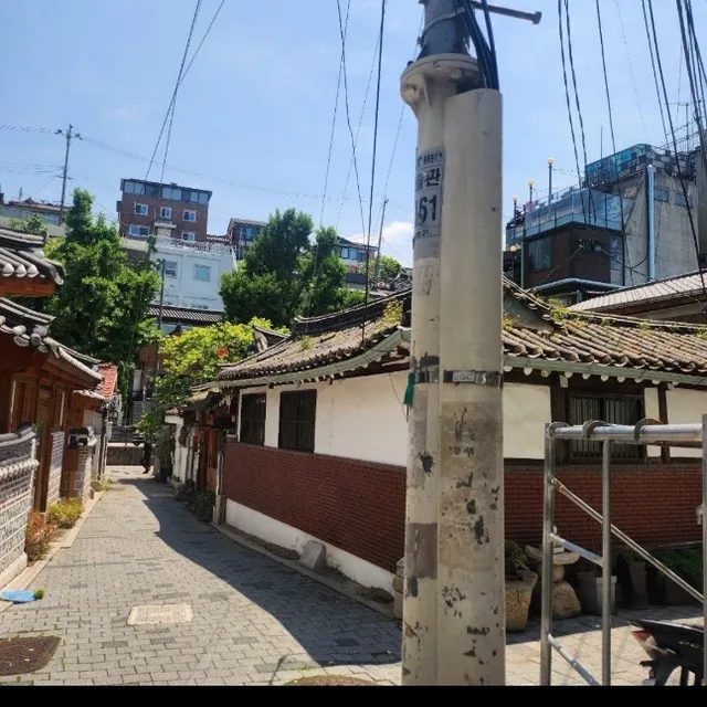 내부심샤프심고두심