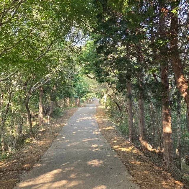 주영