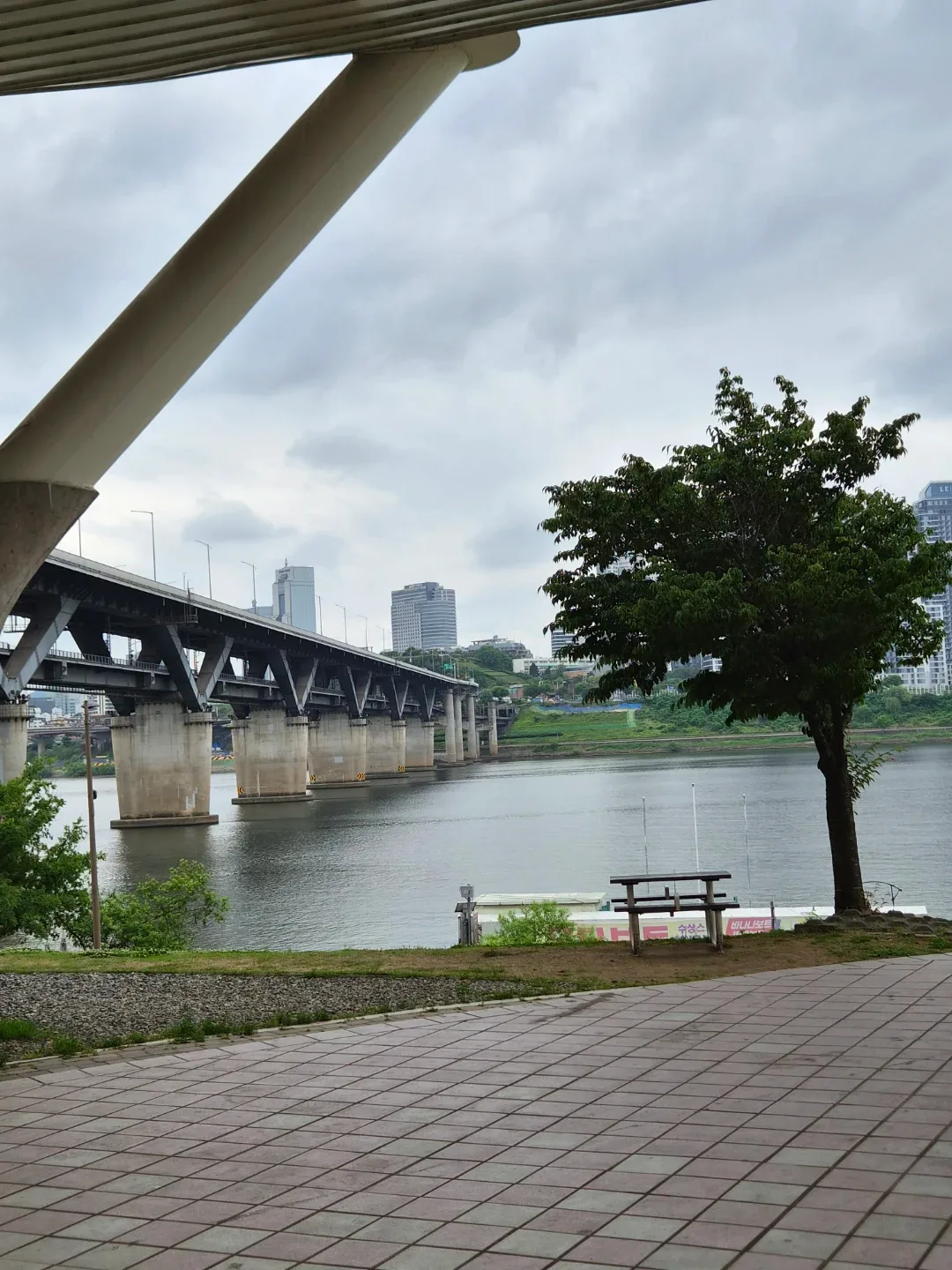 말콩파파