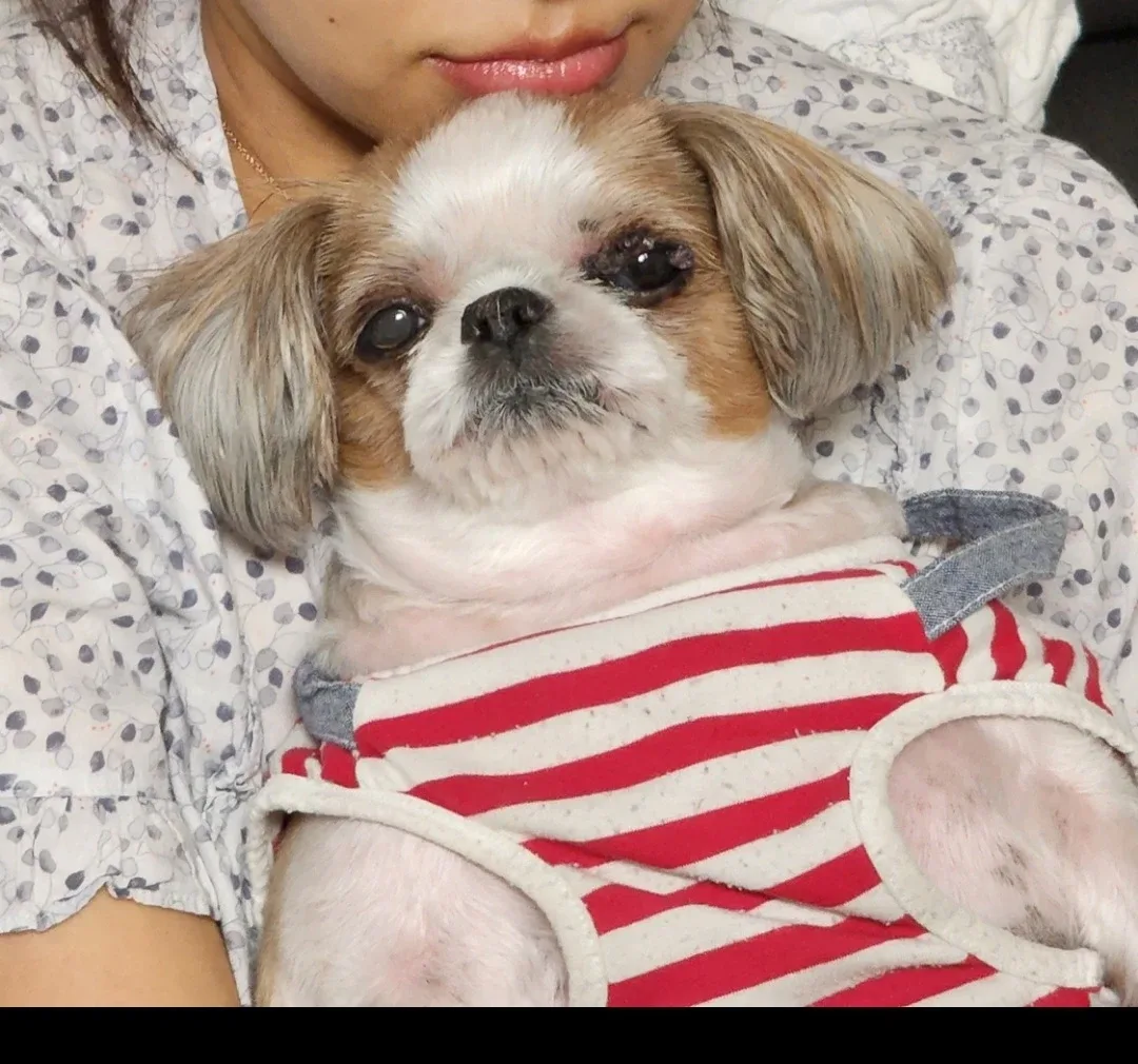 마음이
