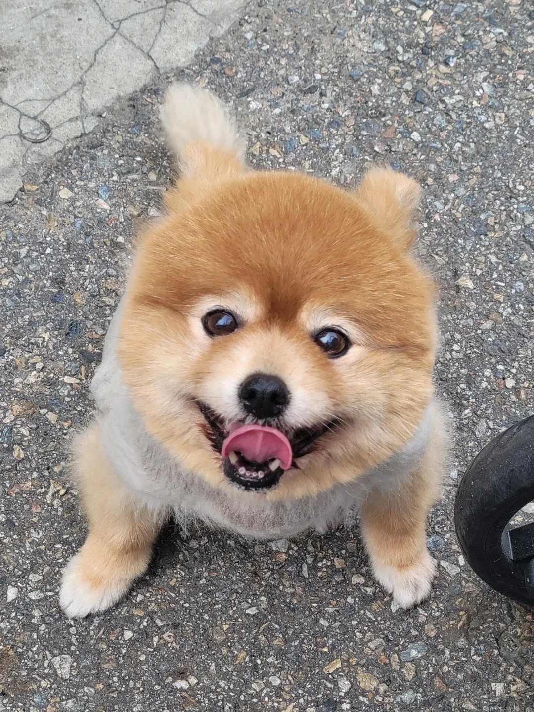 단비