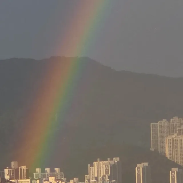 청소달인