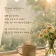 너구리0038