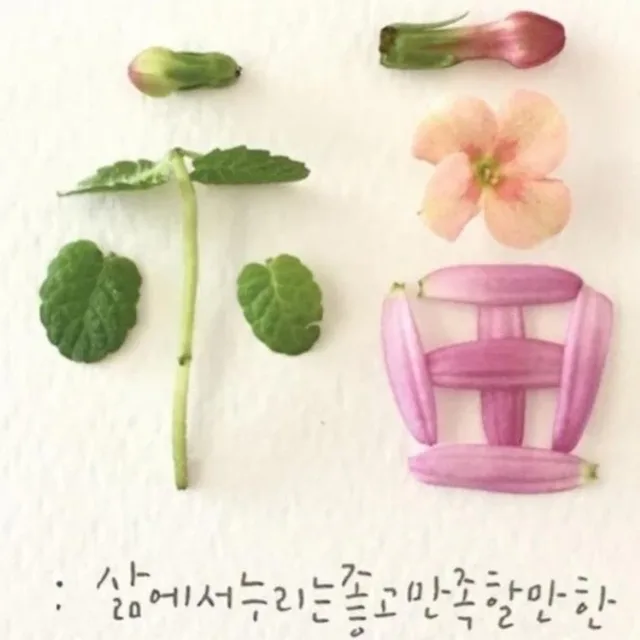 사랑믿음소망