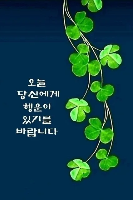 까미랑