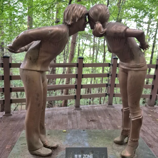 딸기74곡반W