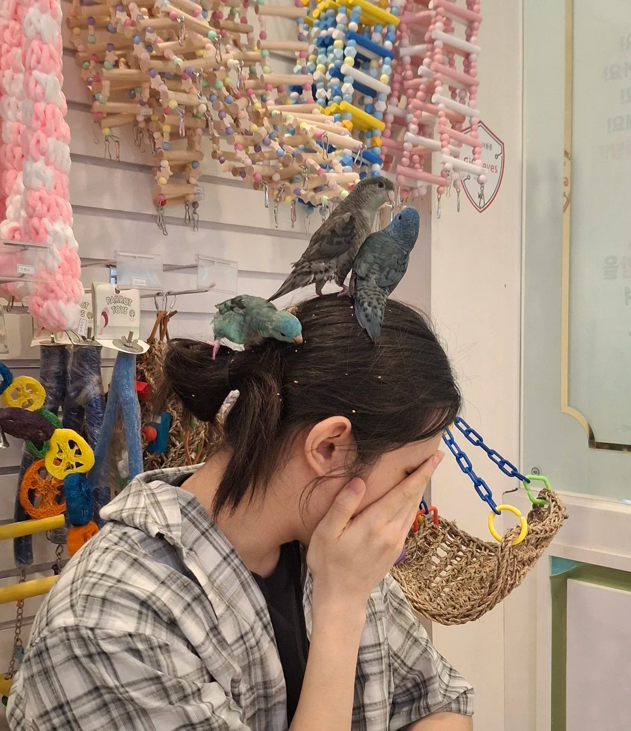 profile