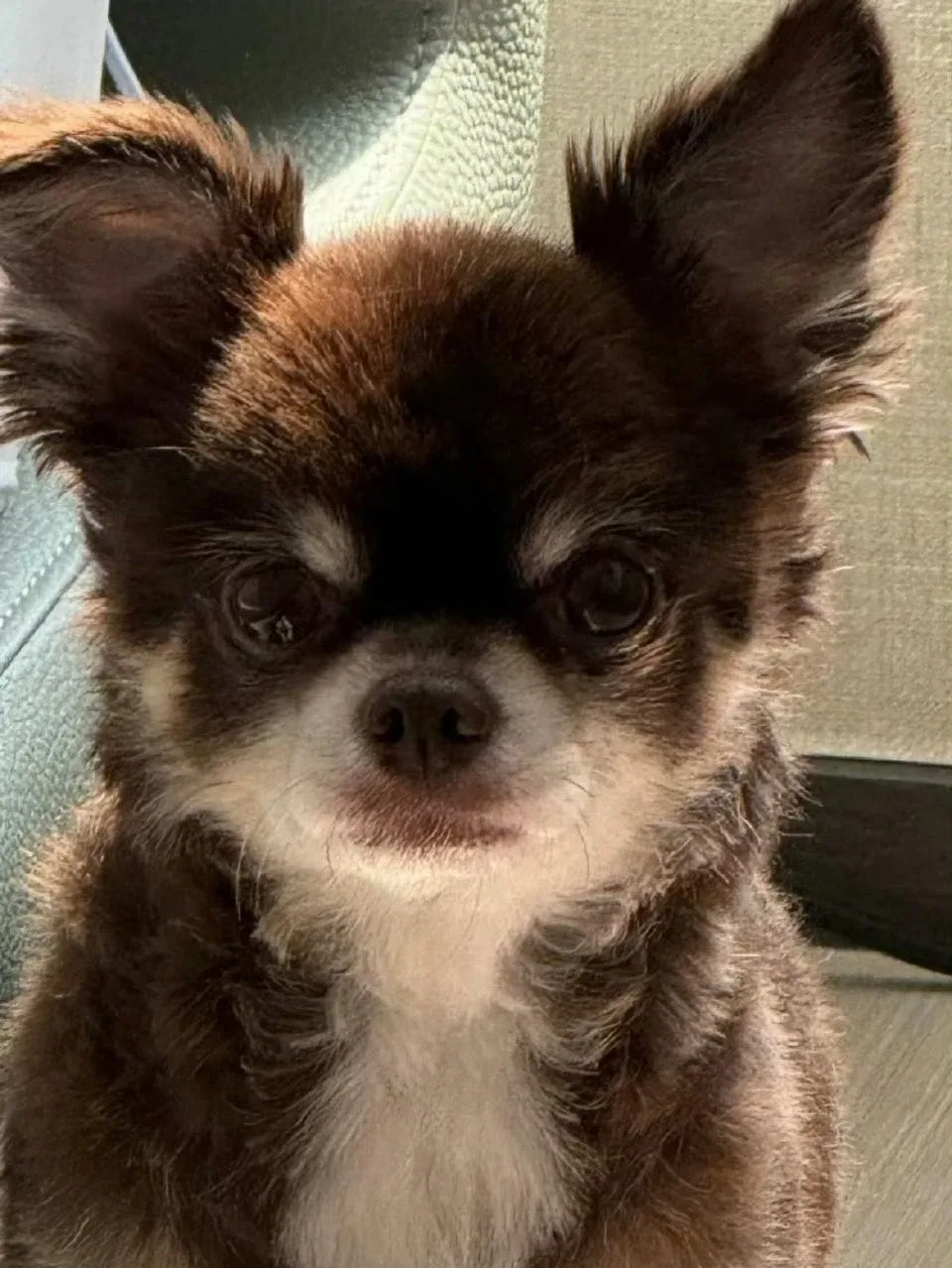 profile