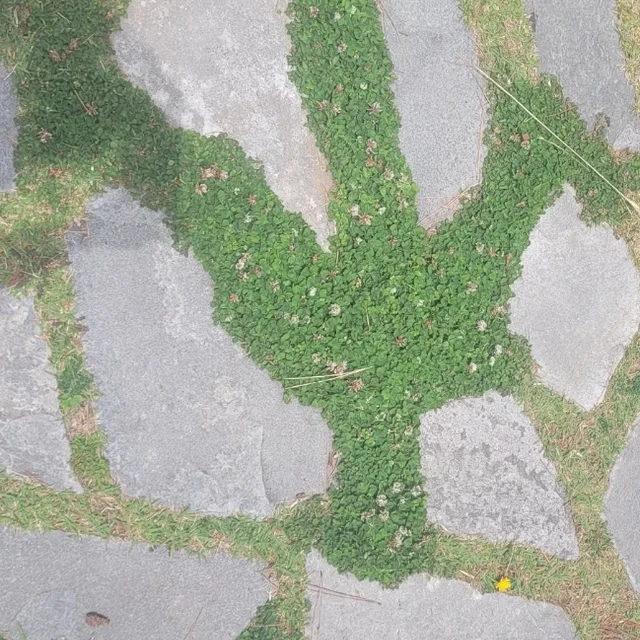 집안물건정리중