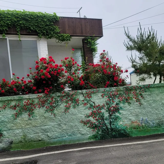맑음