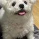라닉스
