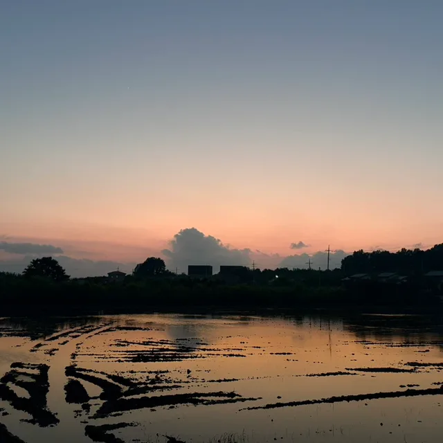 따숨