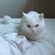 또르륵