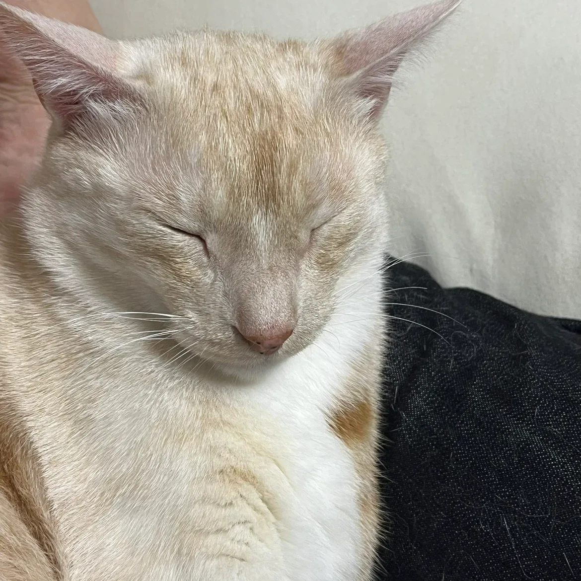 모래모래