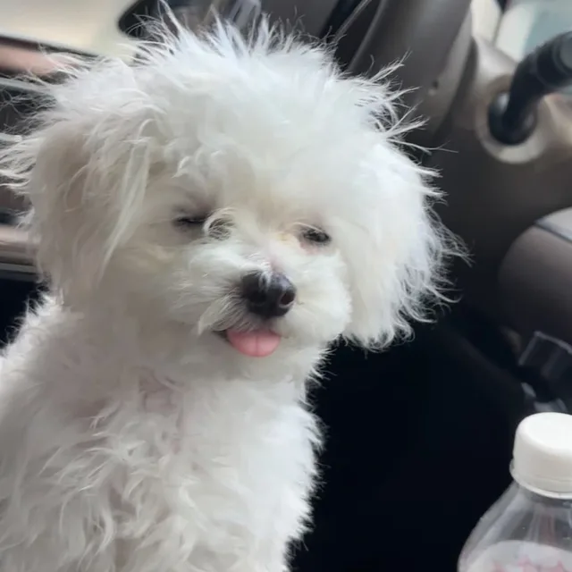 제로