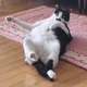 분당신촌