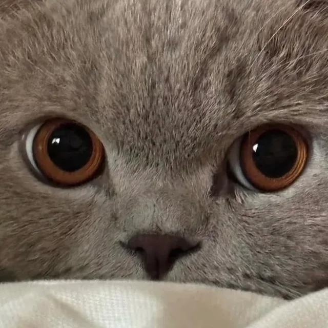루루