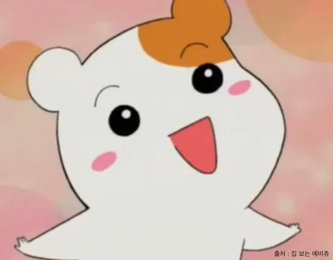 암어쮝쮝