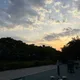 애니