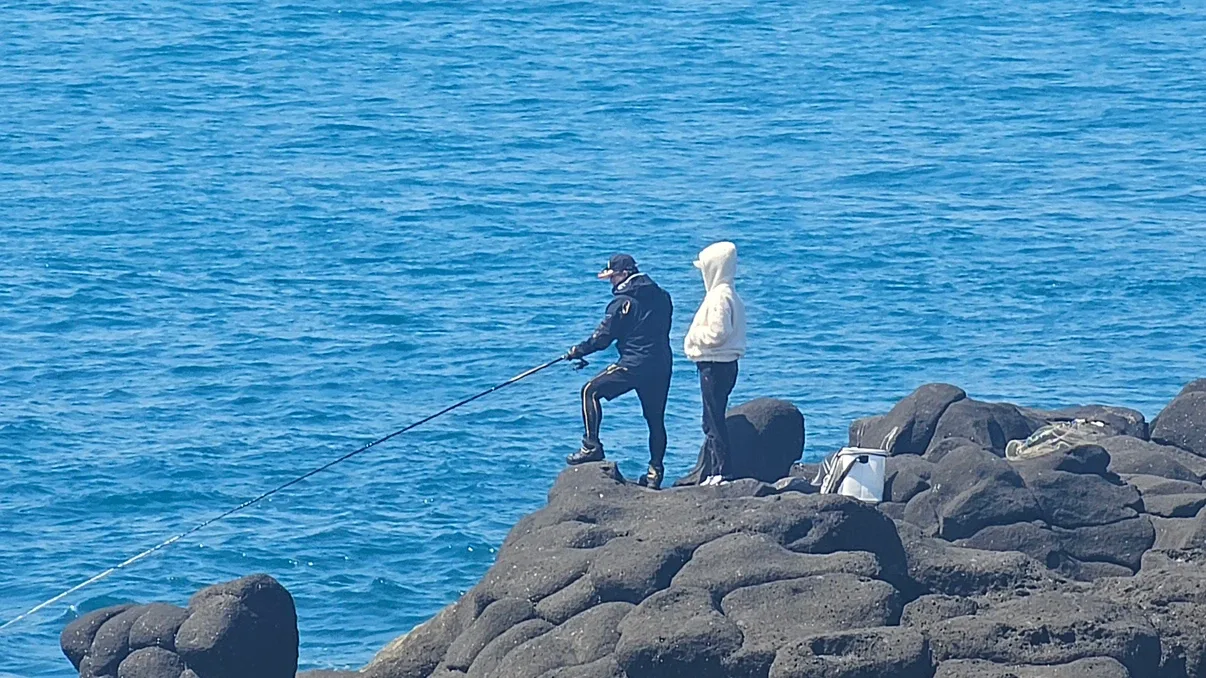 기리지니