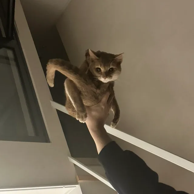 거래왕