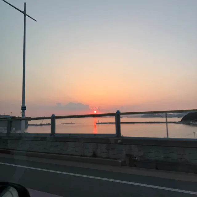 당근온도100
