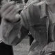 hatemosquito