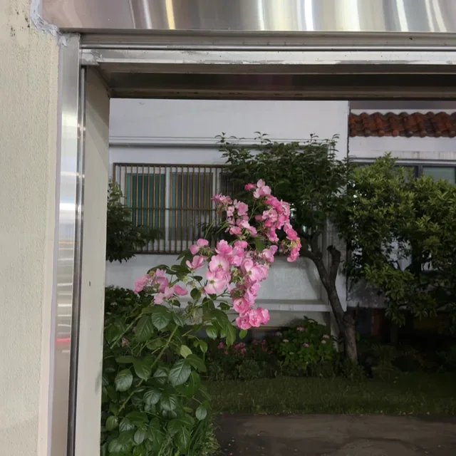 타기
