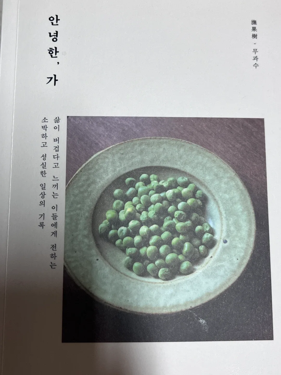 아기상어뚜루뚜