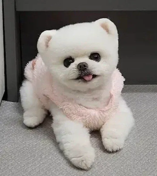 당근주스
