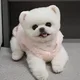 당근주스
