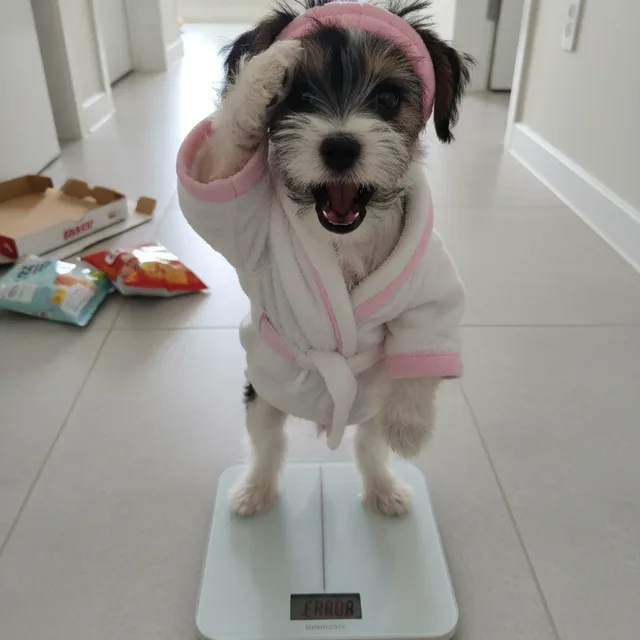 김강남