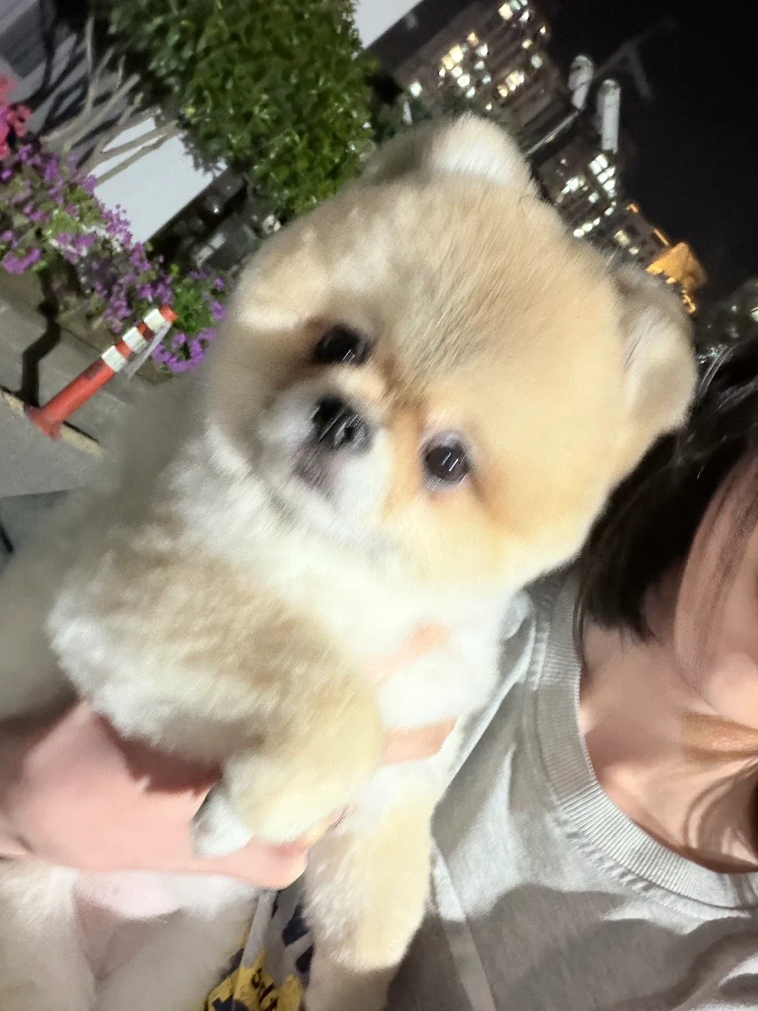 공백
