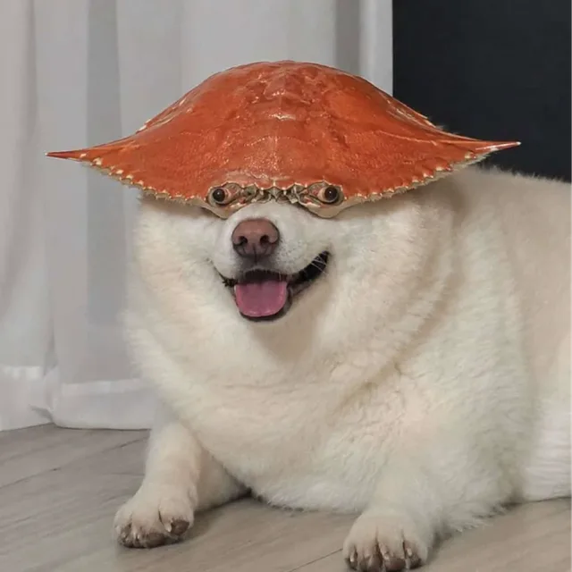해삼