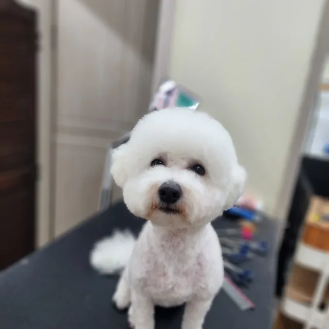프나이나