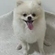 뇸뇸