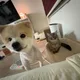 빵이레오