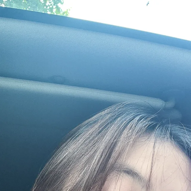 세현
