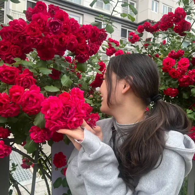 오카나