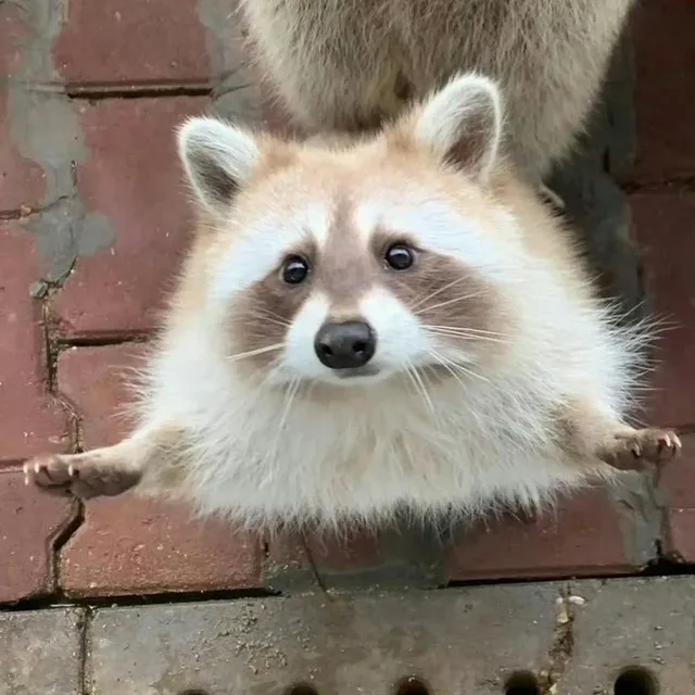 채소가게