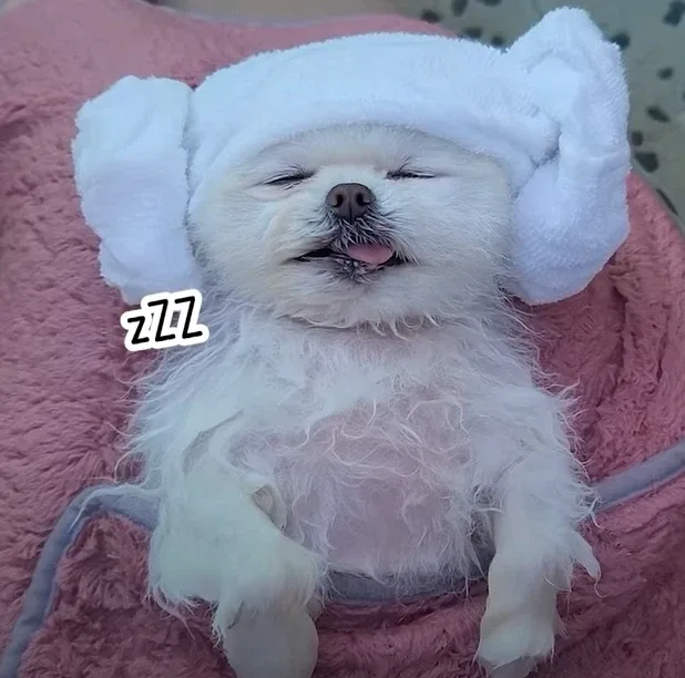 앙앙용
