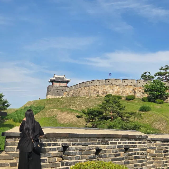 애기토깽이
